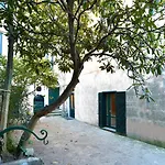 度假居 La Ciucciara Homes 马萨鲁布朗斯