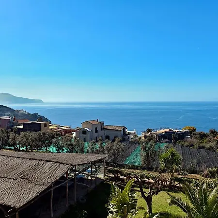 La Ciucciara Homes *